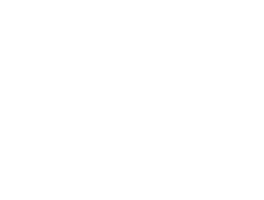Brumea Journeys